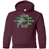 Sweatshirts Maroon / YS Wasteland Mystery Youth Hoodie