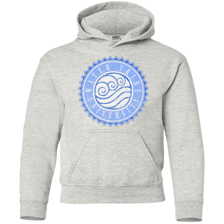 Sweatshirts Ash / YS Water tribe university Youth Hoodie