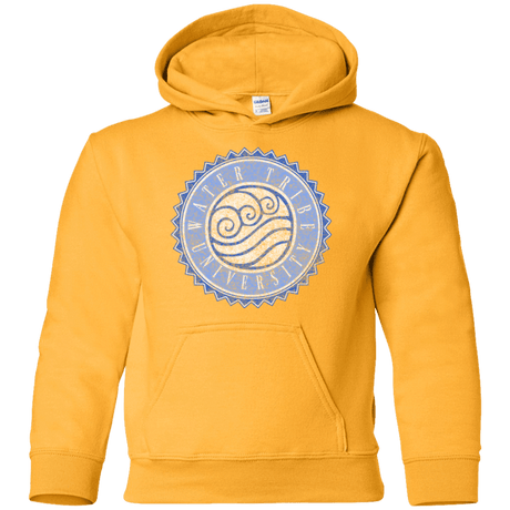 Sweatshirts Gold / YS Water tribe university Youth Hoodie