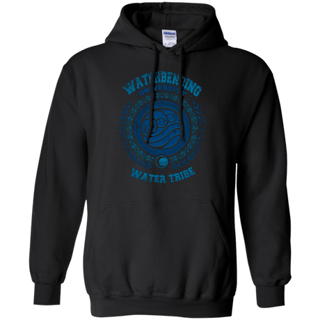 Sweatshirts Black / Small Waterbending University Pullover Hoodie