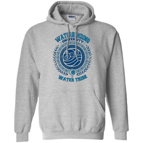 Sweatshirts Sport Grey / Small Waterbending University Pullover Hoodie