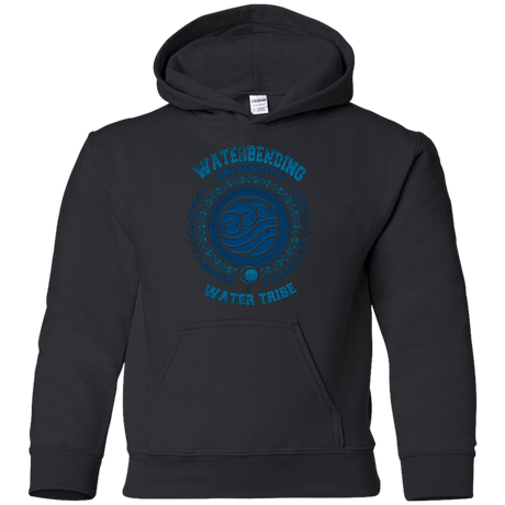 Sweatshirts Black / YS Waterbending University Youth Hoodie