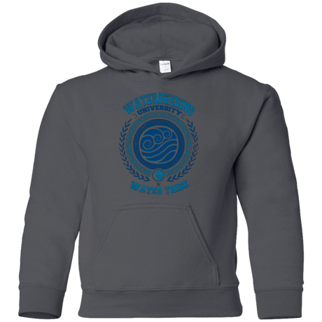 Sweatshirts Charcoal / YS Waterbending University Youth Hoodie