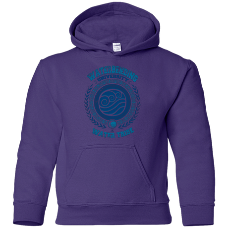 Sweatshirts Purple / YS Waterbending University Youth Hoodie