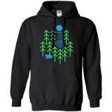 Sweatshirts Black / S Waterfall Lake Pullover Hoodie