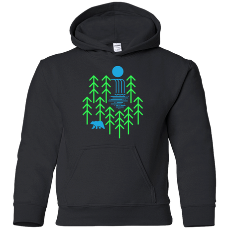 Sweatshirts Black / YS Waterfall Lake Youth Hoodie