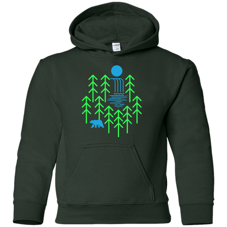 Sweatshirts Forest Green / YS Waterfall Lake Youth Hoodie