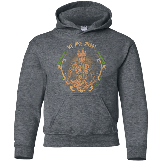 Sweatshirts Dark Heather / YS We are Groot Youth Hoodie