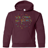 We came in peace Youth Hoodie