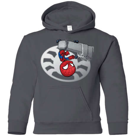 Sweatshirts Charcoal / YS Webby Friends Youth Hoodie