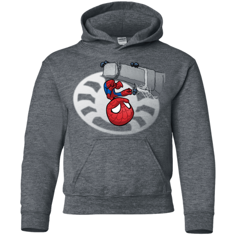 Sweatshirts Dark Heather / YS Webby Friends Youth Hoodie