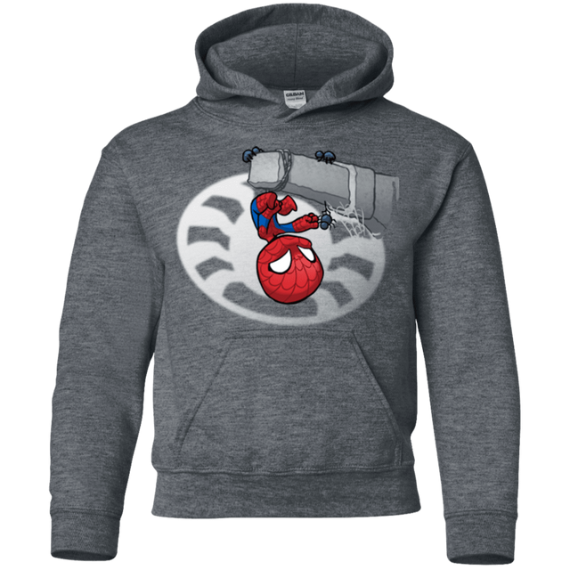 Sweatshirts Dark Heather / YS Webby Friends Youth Hoodie