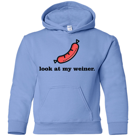 Sweatshirts Carolina Blue / YS Weiner Youth Hoodie