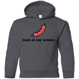 Sweatshirts Charcoal / YS Weiner Youth Hoodie