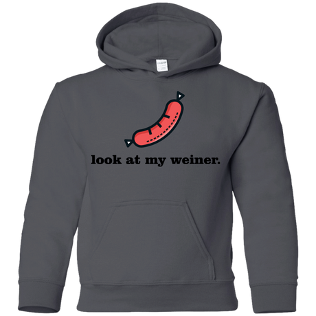 Sweatshirts Charcoal / YS Weiner Youth Hoodie