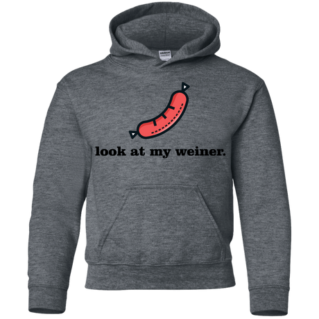 Sweatshirts Dark Heather / YS Weiner Youth Hoodie
