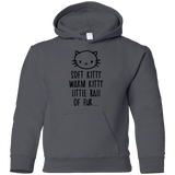 Sweatshirts Charcoal / YS Weird Kitty Youth Hoodie