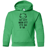 Sweatshirts Irish Green / YS Weird Kitty Youth Hoodie
