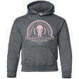 Sweatshirts Dark Heather / YS Who Villains Silence Youth Hoodie
