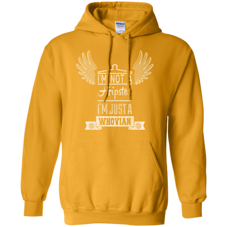 Sweatshirts Gold / Small Whovian Hipster Pullover Hoodie