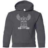 Sweatshirts Charcoal / YS Whovian Hipster Youth Hoodie