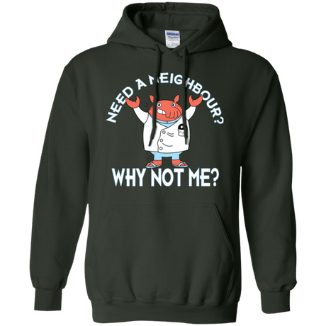 Sweatshirts Forest Green / Small Why not me Pullover Hoodie