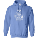 Sweatshirts Carolina Blue / Small Wildfire Pullover Hoodie