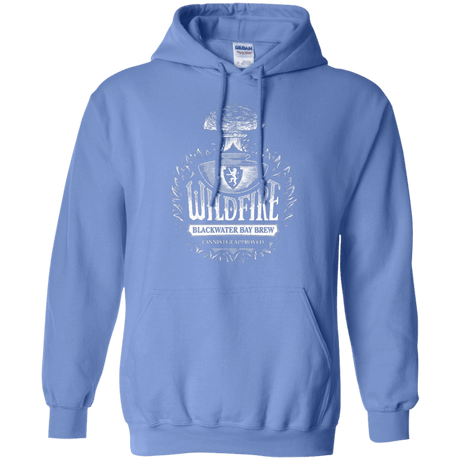 Sweatshirts Carolina Blue / Small Wildfire Pullover Hoodie