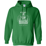 Sweatshirts Irish Green / Small Wildfire Pullover Hoodie