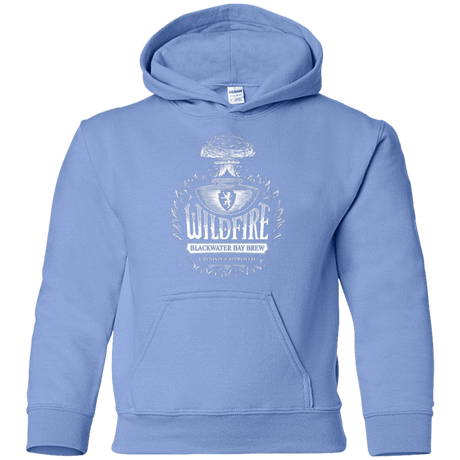 Sweatshirts Carolina Blue / YS Wildfire Youth Hoodie