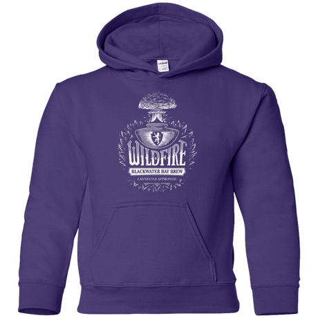 Sweatshirts Purple / YS Wildfire Youth Hoodie