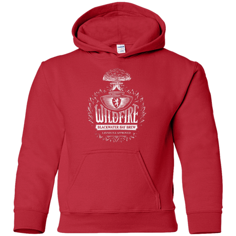 Sweatshirts Red / YS Wildfire Youth Hoodie