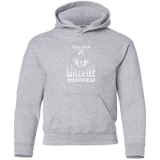 Sweatshirts Sport Grey / YS Wildfire Youth Hoodie