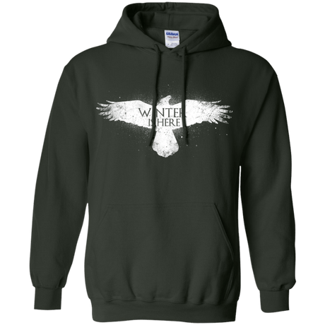 Sweatshirts Forest Green / Small Winter is here Pullover Hoodie
