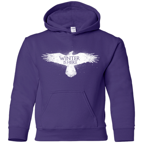 Sweatshirts Purple / YS Winter is here Youth Hoodie
