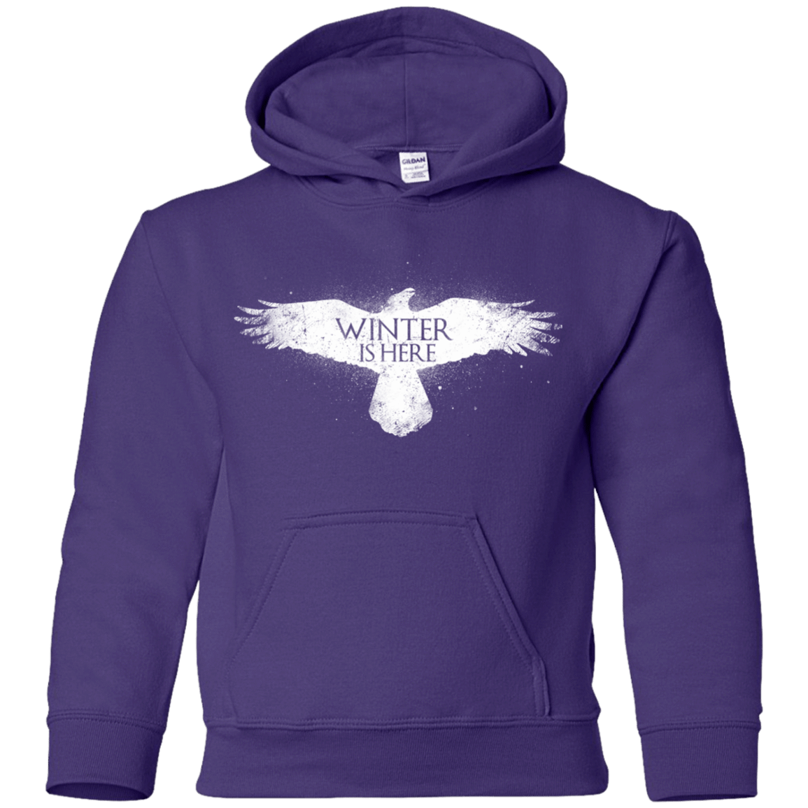 Sweatshirts Purple / YS Winter is here Youth Hoodie