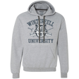 Sweatshirts Sport Grey / Small Winterfell U Premium Fleece Hoodie
