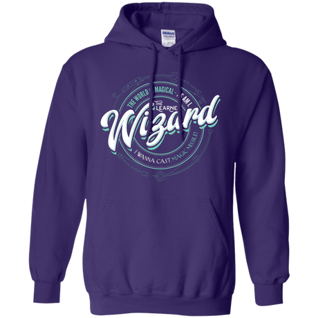 Sweatshirts Purple / S Wizard Pullover Hoodie