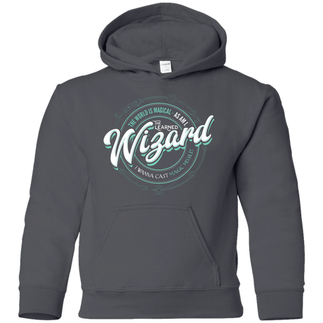 Sweatshirts Charcoal / YS Wizard Youth Hoodie