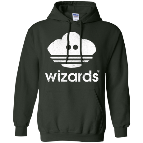 Sweatshirts Forest Green / Small Wizards Pullover Hoodie