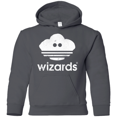 Sweatshirts Charcoal / YS Wizards Youth Hoodie