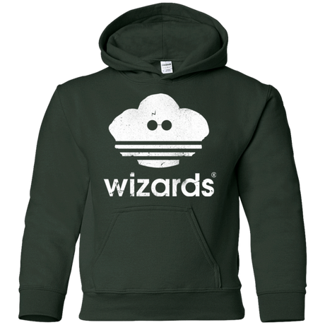 Sweatshirts Forest Green / YS Wizards Youth Hoodie