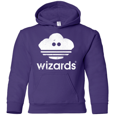 Sweatshirts Purple / YS Wizards Youth Hoodie