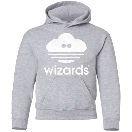 Sweatshirts Sport Grey / YS Wizards Youth Hoodie