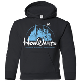 Sweatshirts Black / YS Wizneyland Youth Hoodie