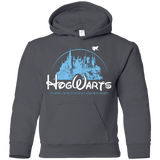 Sweatshirts Charcoal / YS Wizneyland Youth Hoodie