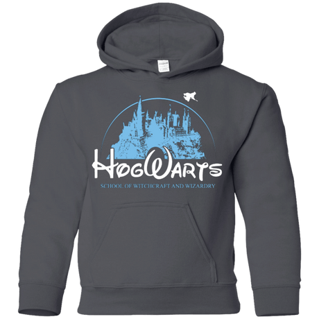 Sweatshirts Charcoal / YS Wizneyland Youth Hoodie