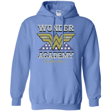 Sweatshirts Carolina Blue / Small Wonder Academy Pullover Hoodie