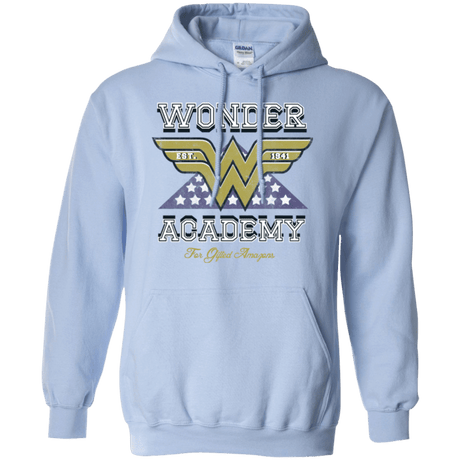 Sweatshirts Light Blue / Small Wonder Academy Pullover Hoodie