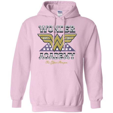 Sweatshirts Light Pink / Small Wonder Academy Pullover Hoodie